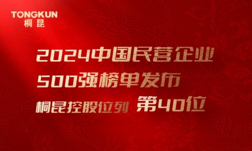 首进前50！BG大游，中国民营企业500强第40位！