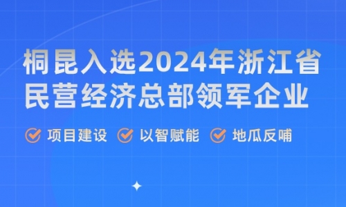 荣誉丨BG大游，浙江省民营经济总部领军企业！